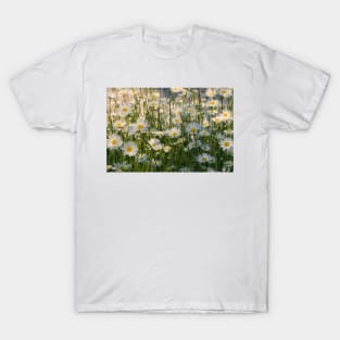 Wild Oxeye Daisies in Spring T-Shirt